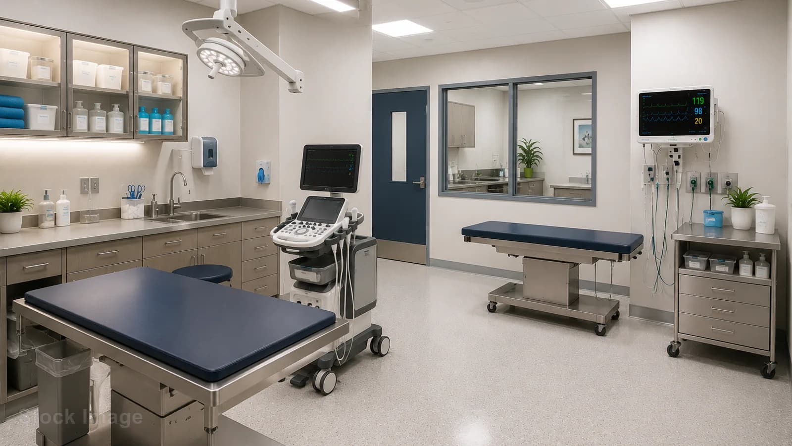 Stock veterinary care image — not a photo of Vet Vision, Inc.