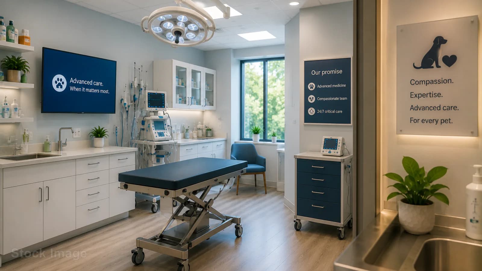 Stock veterinary care image — not a photo of VCA SouthPaws Veterinary Specialists & Emergency Center