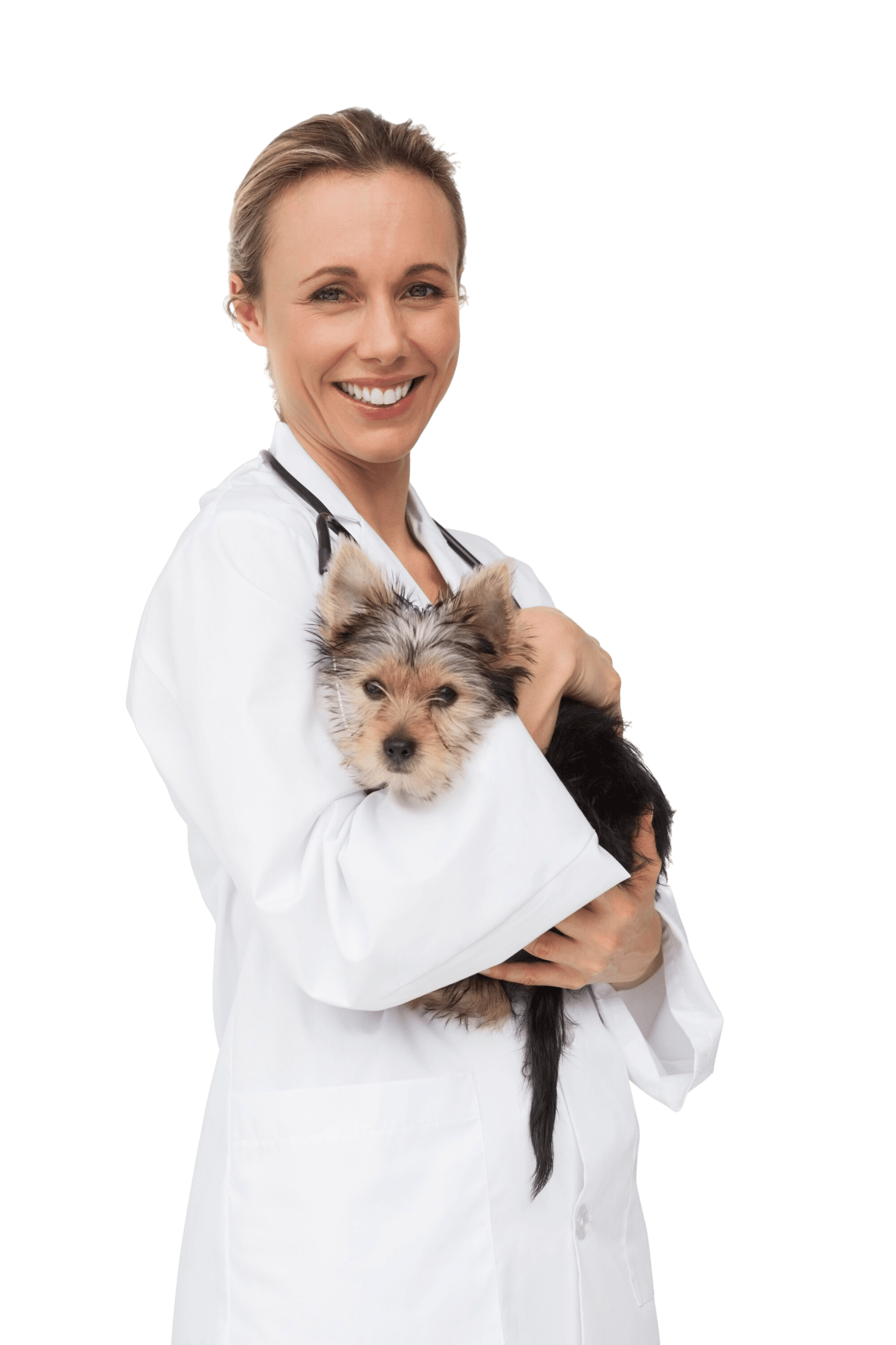 Veterinarian with pet
