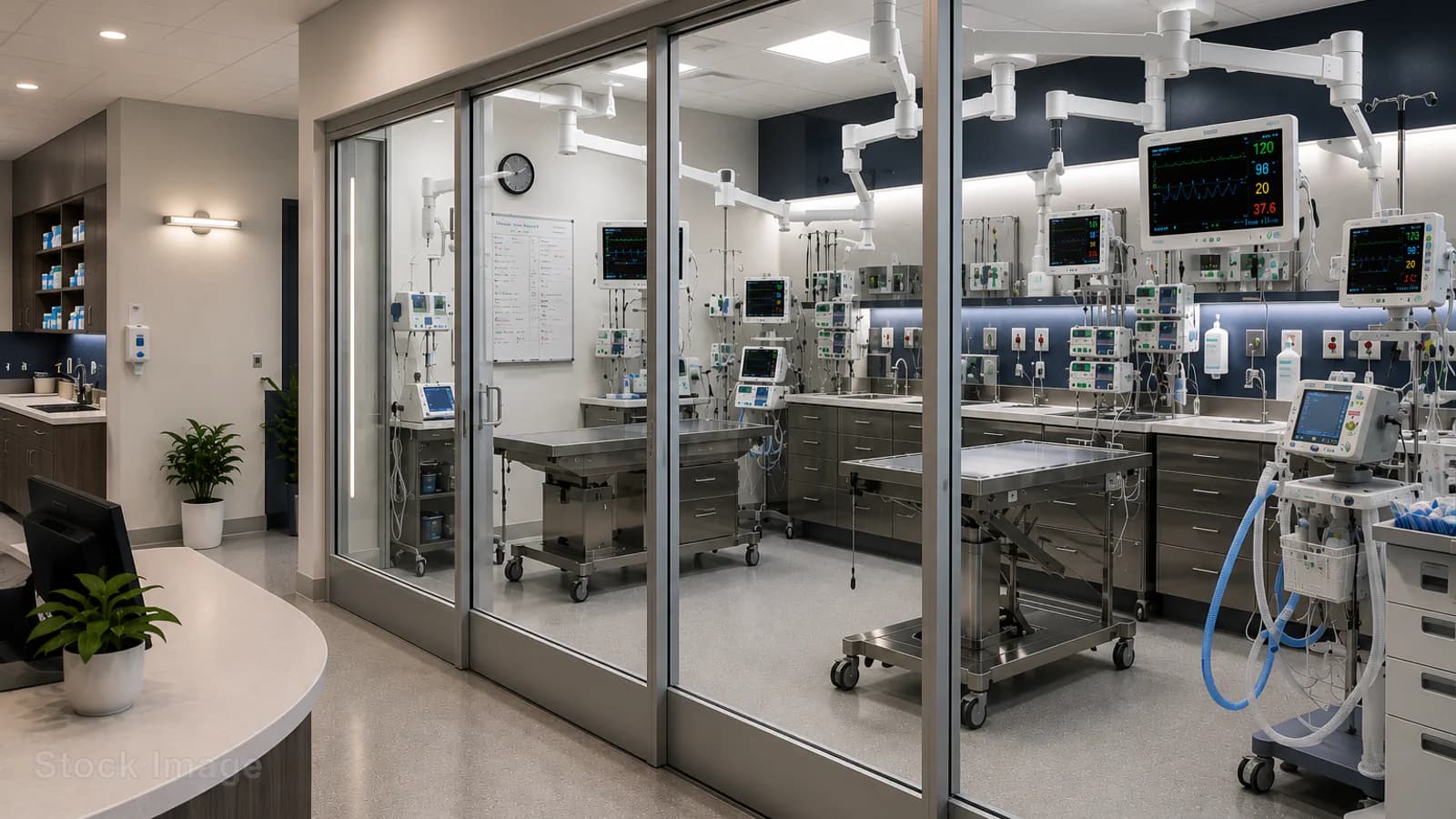 Stock veterinary care image — not a photo of Pet Dental Specialists