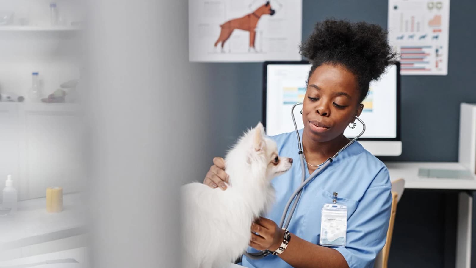 Stock veterinary care image — not a photo of Ashton Animal Clinic